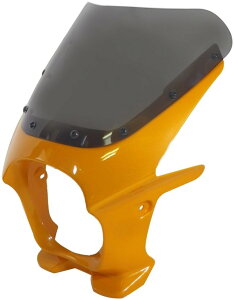 World Walk [hEH[N ėprLjJE DS-01 yR^Cvz HONDA z_ YAMAHA }n SUZUKI XYL KAWASAKI JTL rLjJE JE֘A O XN[J[FNA / J[FI