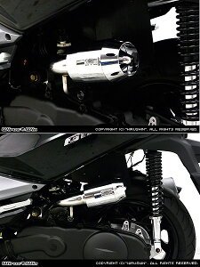 WirusWin ECYEB u[Y^Cv GAN[i[Lbg JOYMAX125 SYM zC֘A GW