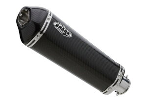 SHARK V[N RyeBV DSX-10 XbvI}t[ Monster 1200 S 821 DUCATI hDJeB }t[ fށFJ[{