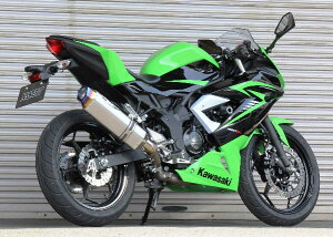 BEET r[g NASSERT(iT[g) Evolution TypeII XbvI }t[ Ninja250SL Z250SL KAWASAKI JTL XbvI}t[ TCT[^CvFXeubN
