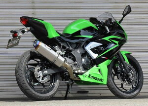 BEET r[g NASSERT(iT[g) Evolution TypeII tGL][Xg}t[ Ninja250SL Z250SL KAWASAKI JTL }t[ TCT[^CvF^ubN