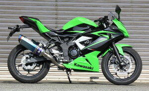 BEET r[g NASSERT-R Evolution ST250Fp XeX[VO}t[ jW250SL KAWASAKI JTL tGL][Xg}t[ }t[