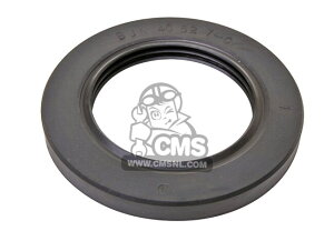 CMS V[GGX ICV[ (Oil Seal) Z1 KAWASAKI JTL GWp[c GW