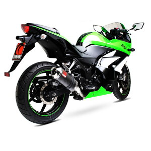 SCORPION XR[sI t@Ng[I[o XbvI}t[ Ninja250R KAWASAKI JTL }t[