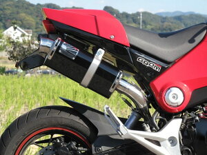 HOT LAP �z�b�g���b�v �^�C�v666 �t���G�L�]�[�X�g�}�t���[ �O����MSX125 HONDA �z���_ �}�t���[