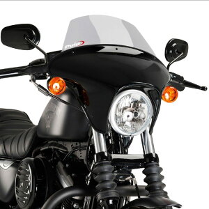 Puig v[` EChV[h obgECO SML(TOURING) XL883N SPORTSTER IRON HARLEY-DAVIDSON n[[_rbh\ rLjJE JE֘A O