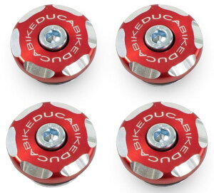 DUCABIKE (DBK) �h�D�J�o�C�N (�f�B�[�r�[�P�[) �t���[���v���O PANIGALE 1299 R FINAL EDITION S 959 CORSE V2 TROY BAYLISS DUCATI �h�D�J�e�B �t���[���z�[���L���b�v �O��