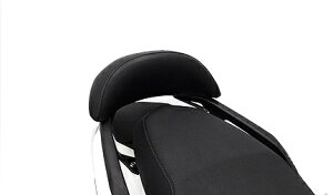 WirusWin ECYEB obNXgLbg VOiX Ot@XCYGNUS GRYPHUS YAMAHA }n obNXg O