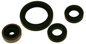 CENTAURO `F^E ICV[ Zbg CRF 250 R RX ENDURO HONDA z_ GWp[c GW