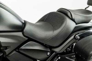 Kawasaki JTL tgV[g(JX^V[g) oJS KAWASAKI V[g V[g֘A O