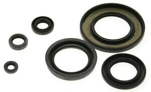 CENTAURO `F^E ICV[ Zbg WR 250 F YZ YAMAHA }n GWp[c GW