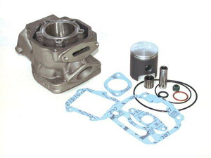 MITAKA �~�^�J �V�����_�[�L�b�g AF1 125 A.E EUROPE EXTREMA FUTURA REPILCA REPLICA SINTESI SP AS R CLASSIC ETX TUAREG EUROPA LEONARDO ST MOTEUR ROTAX 122 123 PEGASO RALLY RED ROSE RS GP COMPET RX SCARABEO WIND AE W8 WMX APRILIA �A�v�����A �V