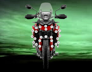 EAZI-GUARD �C�[�W�[�K�[�h �Ԏ�ʃX�g�[���`�b�v�v���e�N�V�����t�B���� Tiger 900 GT TRIUMPH �g���C�A���t �v���e�N�V�����t�B�����E�ی�t�B���� �O�� �J���[�F�O���X�T�[�t�F�X�i������j