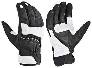 DAYTONA fCgi DG022 ANeButBbgEB^[O[u EC^[O[u O[u Ap