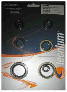 TECNIUM eNjE GWICV[Zbg RM 125 SUZUKI XYL h{gKXPbg GWp[c GW
