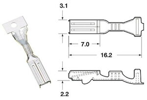 EUROPE IMPORT GOODS [bpAi XRlN^[ 090 FRKWV[Y [qEM{V[q XCb`En[lX֌W dn