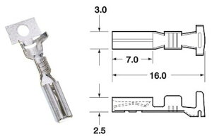 EUROPE IMPORT GOODS [bpAi tB[CRlN^ 090 SMTOV[Y [qEM{V[q XCb`En[lX֌W dn