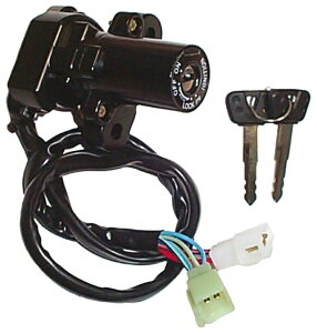 TECNIUM eNjE COjbVL[V_[ YZF 1000 R THUNDERACE YZF-R6 YAMAHA }n L[V_[E XCb`En[lX֌W dn