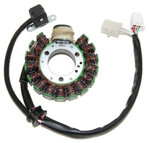 ELECTROSPORT GNgX|[c Xe[^[RC - Yamaha YFB 250 TIMBERWOLF 2WD YFM BEAR TRACKER YAMAHA }n I^l[^[EWFl[^[ dn