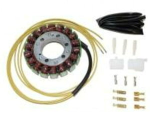 ELECTROSPORT GNgX|[c Xe[^[RC - Kawasaki ZX6R NINJA ZX-6 R KAWASAKI JTL I^l[^[EWFl[^[ dn