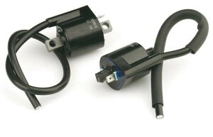 TOP PERFORMANCES gbvptH[}X nCeVRC Minarelli Engine 50cc {tCzC[ COjbVRC _Όn GW