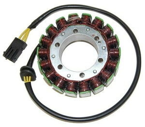 ELECTROSPORT GNgX|[c Xe[^[RC - BMW F 700 GS ABS 800 GT R S ST 75 /7 I^l[^[EWFl[^[ dn