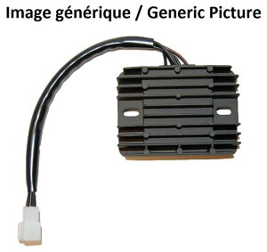 ELECTROSPORT GNgX|[c M[^[ - BMW G650 F 650 CS SCARVER ABS GS DAKAR ST 700 800 GT R S G 450 X CHALLENGE COUNTRY M[^[EN`t@C dn