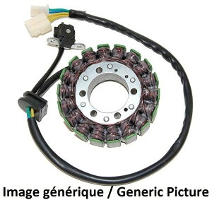 ELECTROSPORT GNgX|[c Xe[^[RC - Kawasaki Ninja 300 NINJA ABS SPECIAL EDITION KAWASAKI JTL I^l[^[EWFl[^[ dn