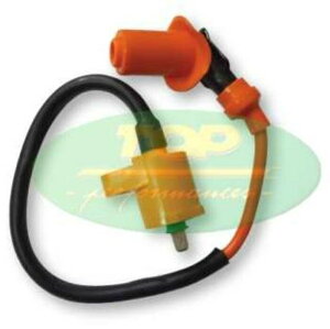 TOP PERFORMANCES �g�b�v�p�t�H�[�}���X �R�C�� Vespa �x�X�p APRILIA �A�v�����A PIAGGIO �s�A�W�I GILERA �W���� DERBI �f���r �C�O�j�b�V�����R�C�� �_�Όn �G���W��
