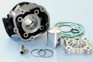 Polini |[j V_[Lbg - 39C8mm MX 50 RS REPLICA RS4 RX RACING SX RCR SMT DRD PRO GPR R NUDE MALOSSI PESEK SENDA HYP EVO SM X-TREM X-RACE BLACK EDITION NAKED RME FACTORY RACE SCRAMBLER APRILIA AvA GILERA W DERB