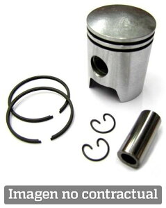 Polini |[j sXg - PLN2040190 GWp[c GW