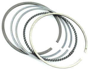 Polini |[j sXg - PLN2060329 sXgO GWp[c GW