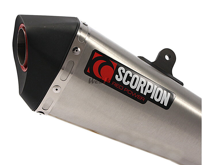 楽天市場】SCORPION スコーピオン セルケトテーパー スリップオン 