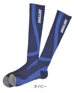 DAYTONA fCgi Jy\bNX \bNXEC tbgEFA