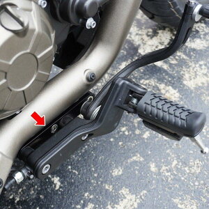 TRIJYA gCW XebvP[VLbg SRV250 QJ MOTOR QJ[^[ ̑XebvIvVECi Xebv 