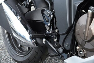 WOODSTOCK EbhXgbN obNXebvLbg WNT[SF250 WNT[250 SUZUKI XYL obNXebv Xebv 