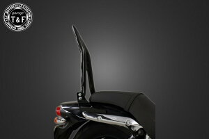 Garage T&F K[W ɑ38V[V[o[ tF_[p G~l[^[250V KAWASAKI JTL Ouo[E^fo[EV[V[o[ O J[FubN / TCYFO(F5