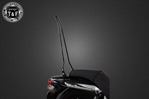 Garage T&F K[W tF_[pV[V[o[ G~l[^[250V KAWASAKI JTL Ouo[E^fo[EV[V[o[ O