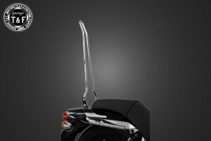 Garage T&F K[W tF_[pV[V[o[ G~l[^[250V KAWASAKI JTL Ouo[E^fo[EV[V[o[ O