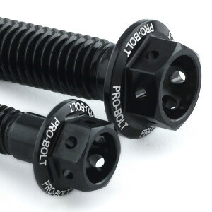 PRO BOLT �v���{���g �{�f�B�[���[�N�{���g�L�b�g ���[�X�X�y�b�N �G�b�`���O CRF125F HONDA �z���_ �ėp�{���g�E�l�W