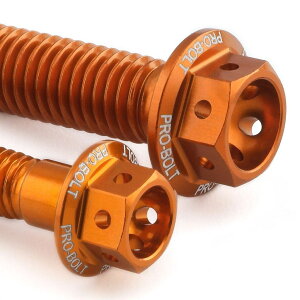 PRO BOLT �v���{���g �{�f�B�[���[�N�{���g�L�b�g ���[�X�X�y�b�N �G�b�`���O CRF125F HONDA �z���_ �ėp�{���g�E�l�W