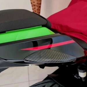 Carbon Variasi J[{oAV {fBveN^[ NINJA250 KAWASAKI JTL V[gJEEe[JE JE֘A O