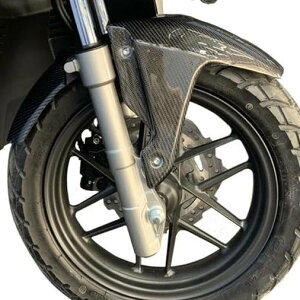 Carbon Variasi J[{oAV tgtF_[ ADV 150 HONDA z_ tF_[֘A O