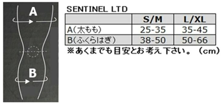楽天市場】THOR ソアー SENTINEL LTD ニーシンガード プロテクター 
