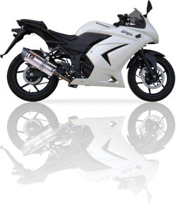IXIL CNV SOVS-I[o^Cv}t[ NINJA 250 R EK250K KAWASAKI JTL XbvI}t[ }t[