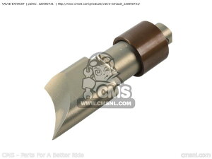 CMS �V�[�G���G�X VALVE-EXHAUST KX100-FEF 2014 USA KAWASAKI �J���T�L ���̑��G���W���p�[�c�I�v�V�����E��C���i �G���W���p�[�c �G���W��