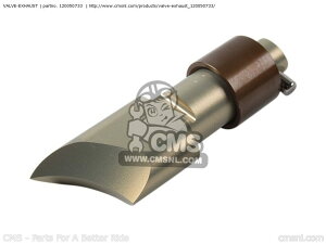 CMS �V�[�G���G�X VALVE-EXHAUST KX100-FEF 2014 USA KAWASAKI �J���T�L ���̑��G���W���p�[�c�I�v�V�����E��C���i �G���W���p�[�c �G���W��