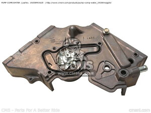 CMS V[GGX PUMP COMPCWATER ST1100 PANEUROPEAN 2000 Y AUSTRIA ENGLAND EUROPEAN DIRECT SALES ST1100A 2001 1 USA 2002 2 CANADA / ABS FRANCE ST1100P MKH SPAIN KPH HONDA z_ ̑GWp[cIvVECi G