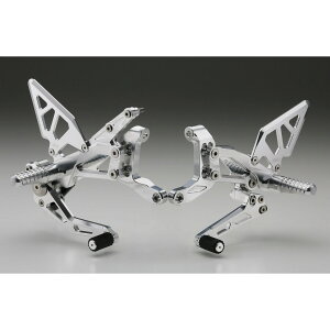 AELLA �A�G�� ���C�f�B���O�X�e�b�v�L�b�g Panigale V4R V4 DUCATI �h�D�J�e�B �o�b�N�X�e�b�v �X�e�b�v ����� �J���[�F�u���b�N