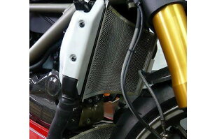 AELLA AG WG^[veN^[^ STREETFIGHTER STREETFIGHTER848 DUCATI hDJeB WG[^[RAK[hEICN[[RAK[h p֘A GW